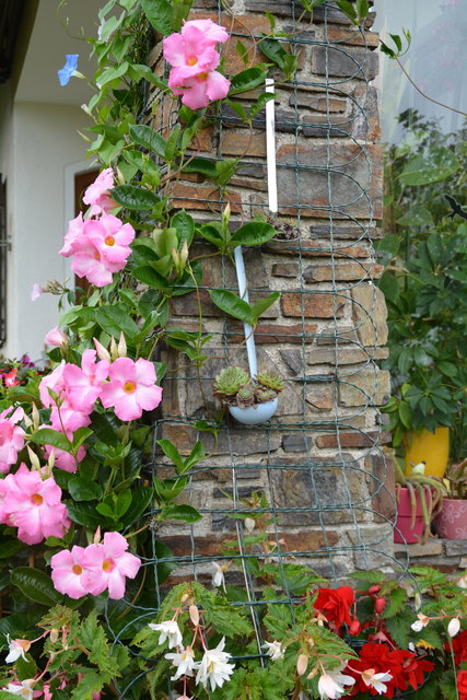 Ein wahres Blütenmeer verzaubert die Sinne, wenn man im Garten der Familie verweilt.