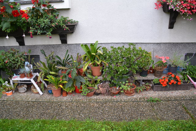 Ein wahres Blütenmeer verzaubert die Sinne, wenn man im Garten der Familie verweilt.