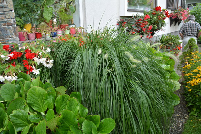 Ein wahres Blütenmeer verzaubert die Sinne, wenn man im Garten der Familie verweilt.