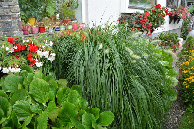 Ein wahres Blütenmeer verzaubert die Sinne, wenn man im Garten der Familie verweilt.