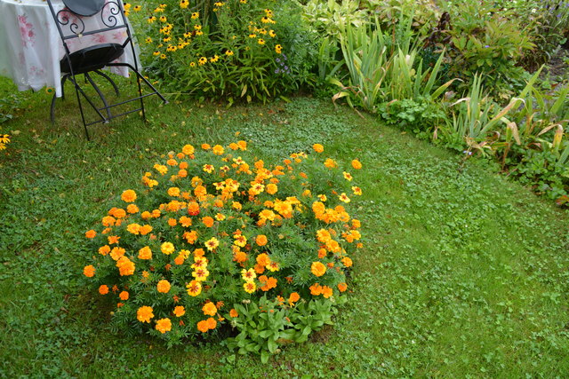 Ein wahres Blütenmeer verzaubert die Sinne, wenn man im Garten der Familie verweilt.