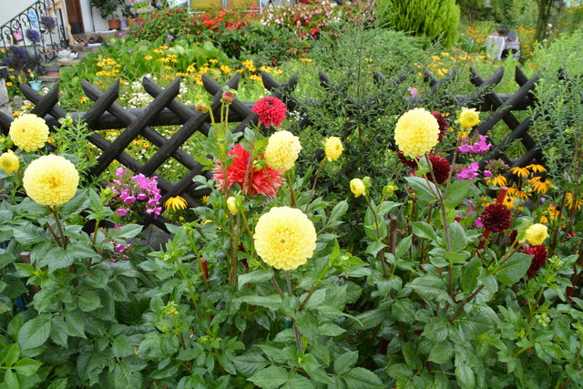 Ein wahres Blütenmeer verzaubert die Sinne, wenn man im Garten der Familie verweilt.