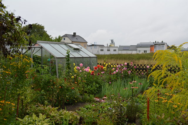 Ein wahres Blütenmeer verzaubert die Sinne, wenn man im Garten der Familie verweilt.