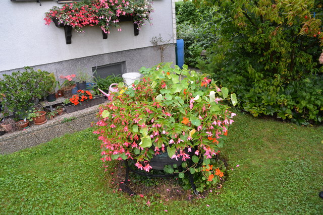 Ein wahres Blütenmeer verzaubert die Sinne, wenn man im Garten der Familie verweilt.