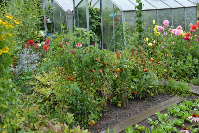 Ein wahres Blütenmeer verzaubert die Sinne, wenn man im Garten der Familie verweilt.