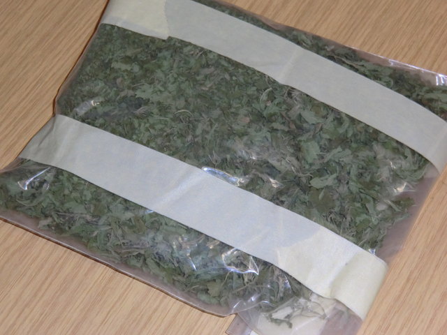 Ein Wiener musste sich am Landesgericht St. Pölten wegen Cannabis-Anbaus verantworten. | Foto: Probst