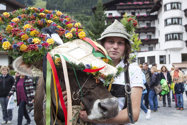 Am Samstag, 13.09., findet im Zentrum von St. Anton am Arlberg der traditionelle Almabtrieb mit Bauernfest statt. | Foto: TVB St. Anton am Arlberg/Justina Wilhelm