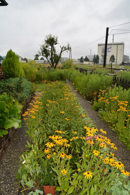 Ein wahres Blütenmeer verzaubert die Sinne, wenn man im Garten der Familie verweilt.
