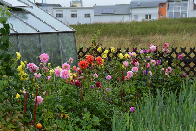 Ein wahres Blütenmeer verzaubert die Sinne, wenn man im Garten der Familie verweilt.