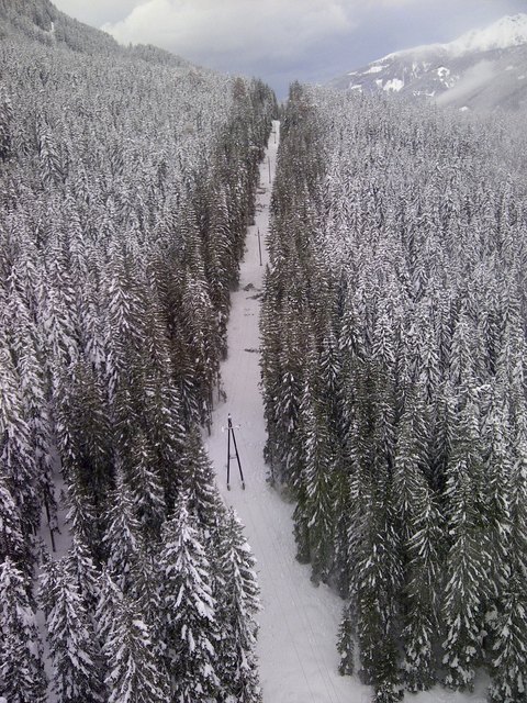 Die Freileitungstrasse im Bereich Gostenwald im Lesachtal wird nach der Inbetriebnahme der Kabelstrecke demontiert. | Foto: TINETZ