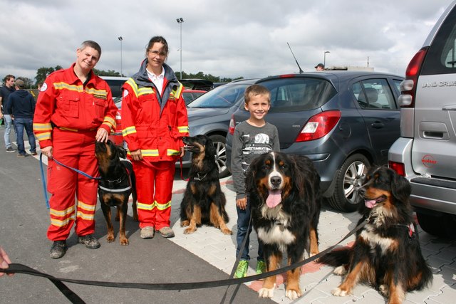Die Rettungshunde aus Rohrbach und Riedlingsdorf waren die Lieblinge von so manch kleinem Besucher.