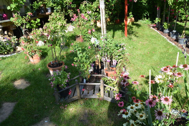 Die Blütenpracht in Manfred Aigners Garten erfreut das Auge des Betrachters.