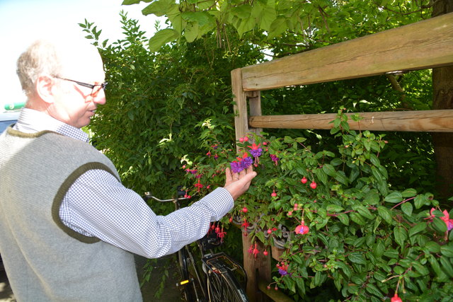 Manfred Aigner ist voll in seinem Element und kümmert sich um seine herrlichen Blumen.