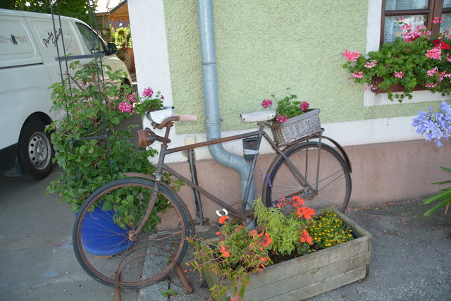 Manfred Aigner sorgt mit kreativen Ideen für Aufmerksamkeit.