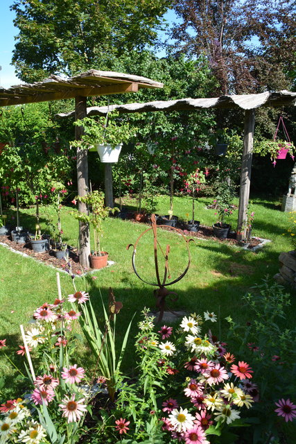 Die Blütenpracht in Manfred Aigners Garten erfreut das Auge des Betrachters.