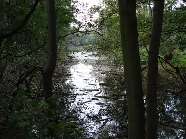 Krebsenwasser