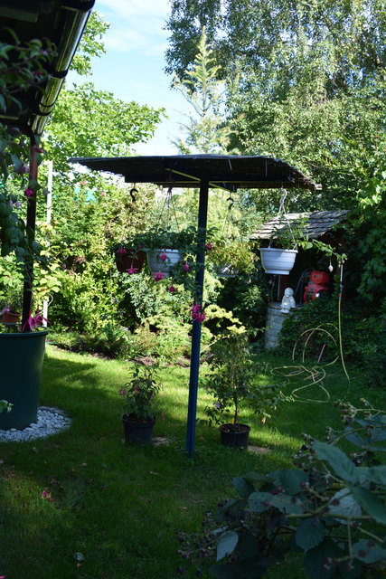 Die Blütenpracht in Manfred Aigners Garten erfreut das Auge des Betrachters.