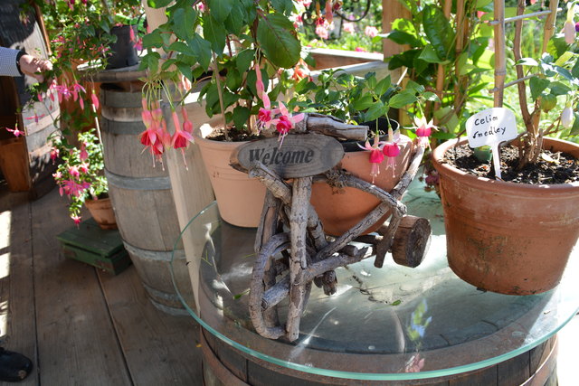 Die Blütenpracht in Manfred Aigners Garten erfreut das Auge des Betrachters.