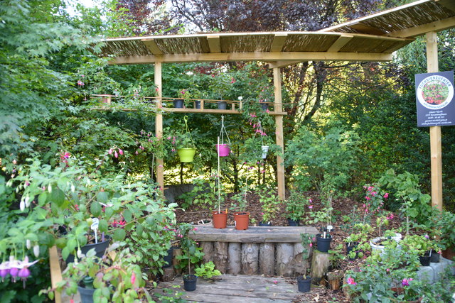 Die Blütenpracht in Manfred Aigners Garten erfreut das Auge des Betrachters.