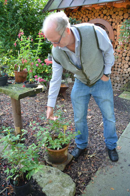 Manfred Aigner ist voll in seinem Element und kümmert sich um seine herrlichen Blumen.