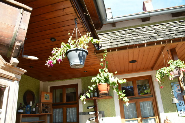 Die Blütenpracht in Manfred Aigners Garten erfreut das Auge des Betrachters.