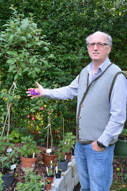 Insgesamt besitzt der "Würstelonkel" etwa 400 Stück Fuchsien in seiner Sammlung.