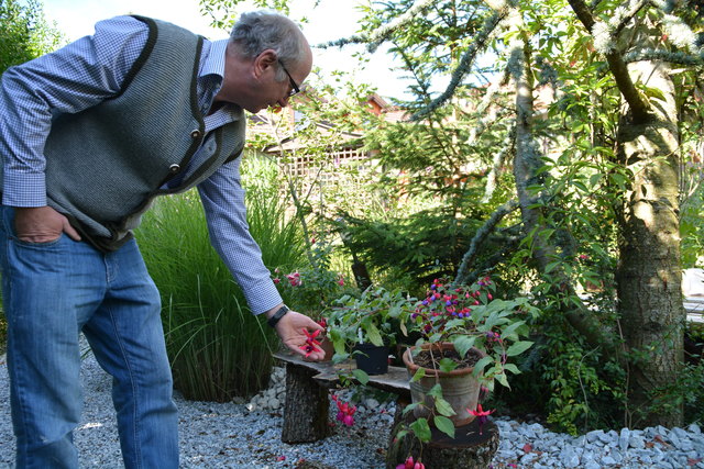 Manfred Aigner ist voll in seinem Element und kümmert sich um seine herrlichen Blumen.