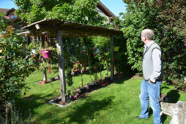 Manfred Aigner ist voll in seinem Element und kümmert sich um seine herrlichen Blumen.