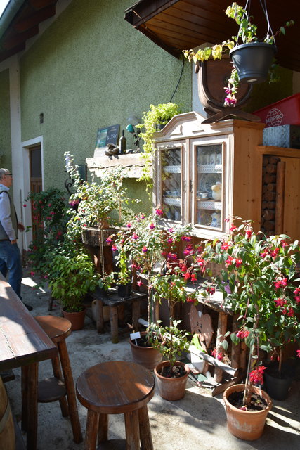 Die Blütenpracht in Manfred Aigners Garten erfreut das Auge des Betrachters.