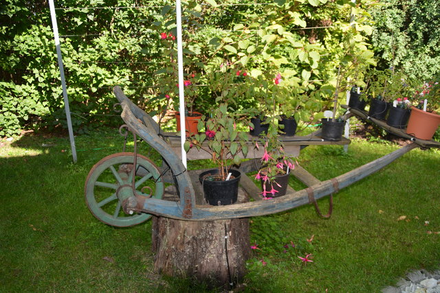 Manfred Aigner sorgt mit kreativen Ideen für Aufmerksamkeit.