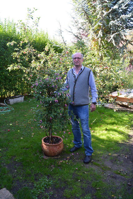 Insgesamt besitzt der "Würstelonkel" etwa 400 Stück Fuchsien in seiner Sammlung.