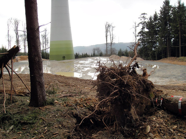 Soll es bald in der Wild genau SO - aussehen?