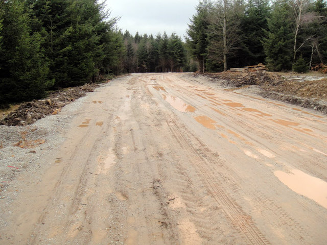 Lassen wir die Zerstückelung unseres einzigartigen  Erholungsraumes "die Wild" zu - für die Interessen von Wenigen mit dem Schaden für die gesamte Bevölkerung und allen Naturliebhabern?