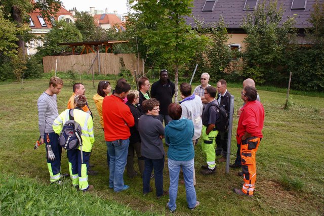 Die Kursteilnehmer von „Natur im Garten“ am Studienobjekt im Klosterneuburger Schelhammerpark