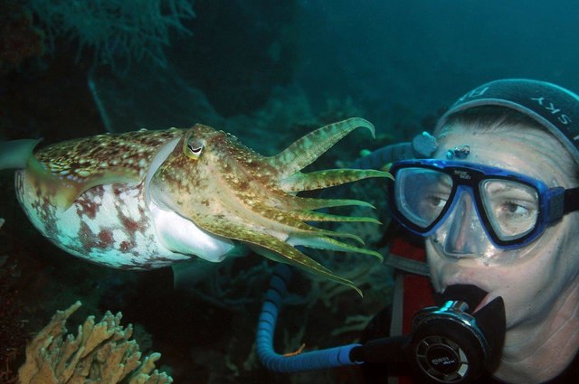 Elisabeth Pflügl posiert neben der Flora und Fauna der Unterwasserwelt. | Foto: Peter Pflügl