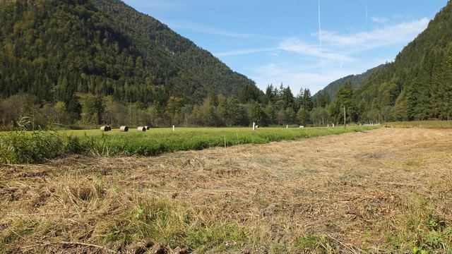 Hagertal zwischen Kirchdorf und Kössen