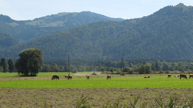 Hagertal zwischen Kirchdorf und Kössen
