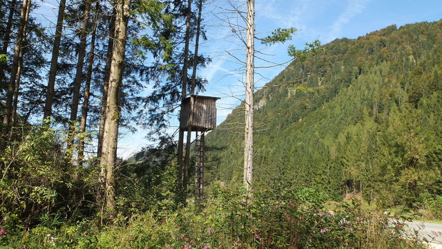 Hagertal zwischen Kirchdorf und Kössen