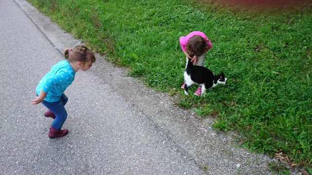 Wandertag des Familienzentrums Dialog mit mehr als einem (Bienen)Erlebnis allein!