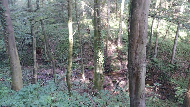 Wandertag des Familienzentrums Dialog mit mehr als einem (Bienen)Erlebnis allein!