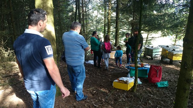 Wandertag des Familienzentrums Dialog mit mehr als einem (Bienen)Erlebnis allein!