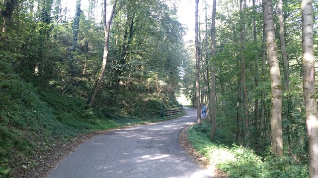 Wandertag des Familienzentrums Dialog mit mehr als einem (Bienen)Erlebnis allein!