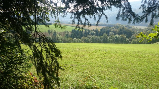 Wandertag des Familienzentrums Dialog mit mehr als einem (Bienen)Erlebnis allein!