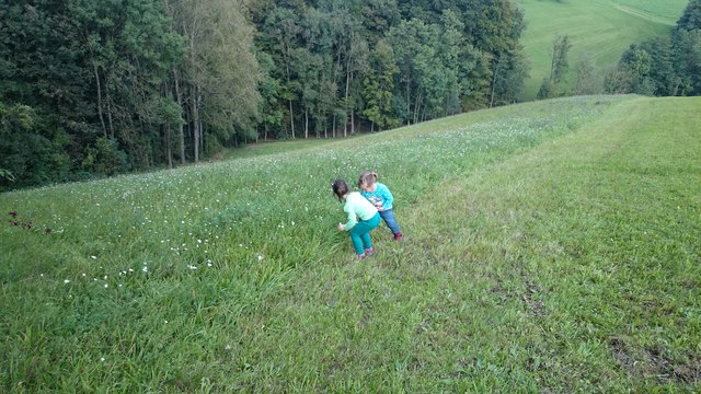 Wandertag des Familienzentrums Dialog mit mehr als einem (Bienen)Erlebnis allein!