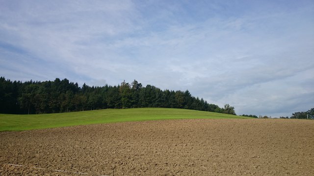 Wandertag des Familienzentrums Dialog mit mehr als einem (Bienen)Erlebnis allein!