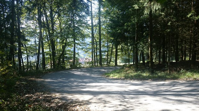 Wandertag des Familienzentrums Dialog mit mehr als einem (Bienen)Erlebnis allein!