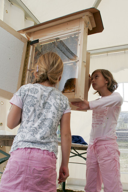 Foto: Kuratorium Wald