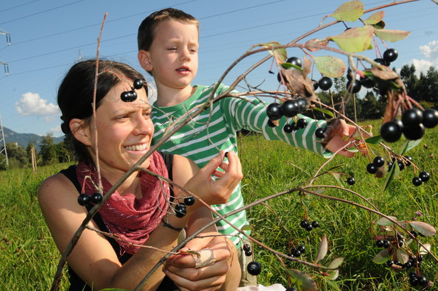 „Ein bisschen herb, aber dafür voller Vitamine“ sind die Aronia-Beeren. Antonia Osberger und ihr Sohn Christian kosten gerne.