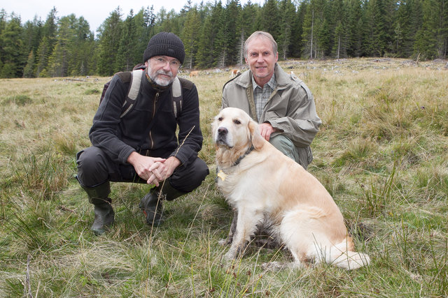 Dr. Georg Rauer (Bärenexperte und Bärenanwalt) und Amtstierarzt Dr. Fritz Trockner waren heute auf Spurensuche. | Foto: foto@neumayr.cc/Neumayr/Probst