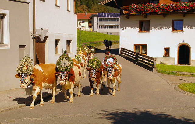 Einzug in Vomp